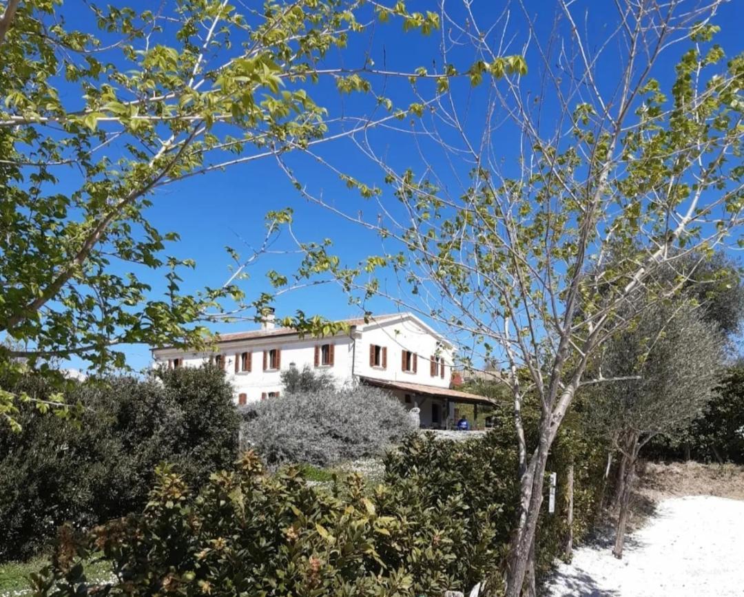 Rustico Del Bozzo Konuk evi Castelleone di Suasa Dış mekan fotoğraf