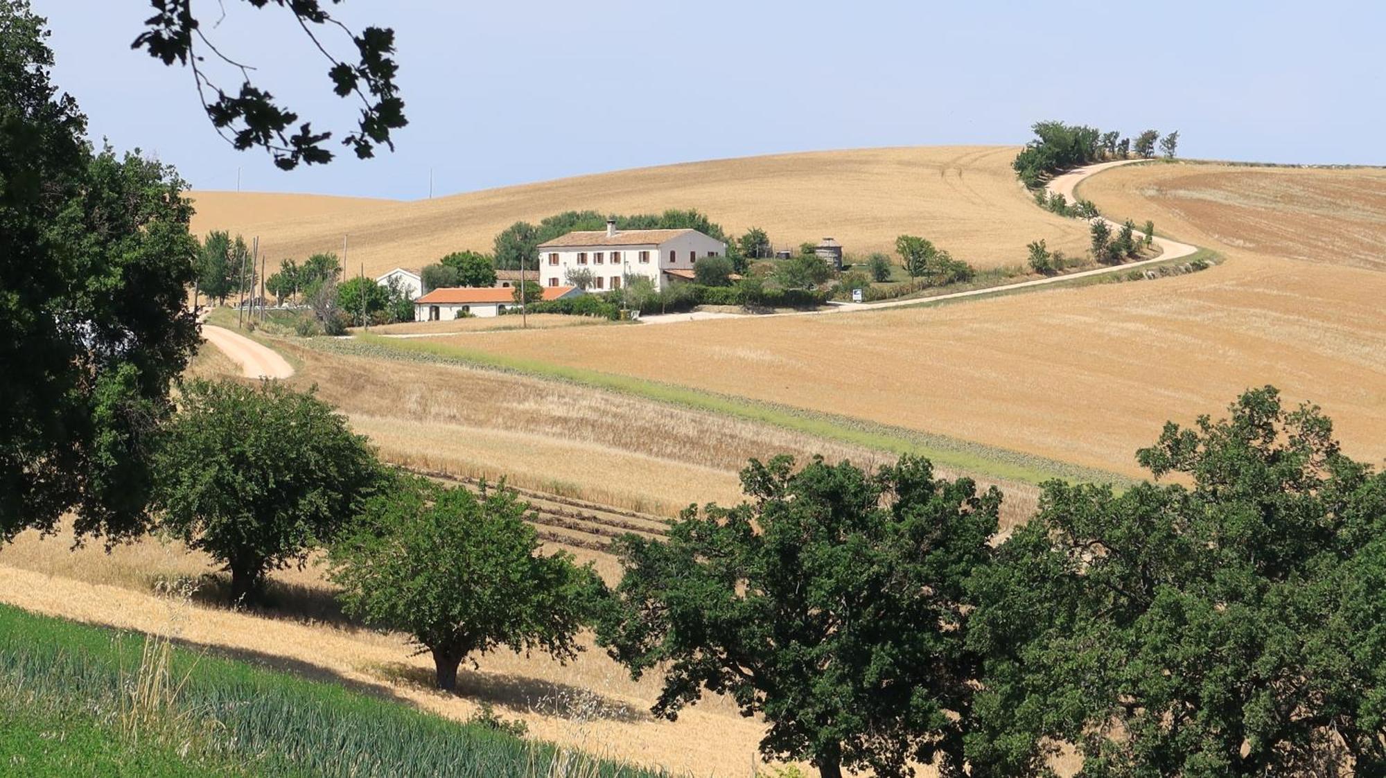 Rustico Del Bozzo Konuk evi Castelleone di Suasa Dış mekan fotoğraf